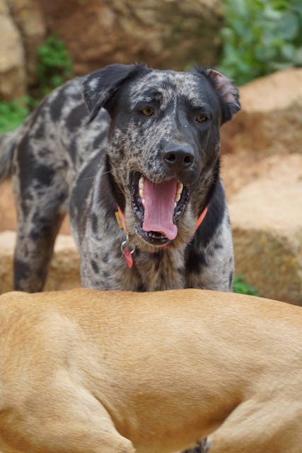 WhatsApp Image 2021-03-01 at 20.59.04 (2).jpeg