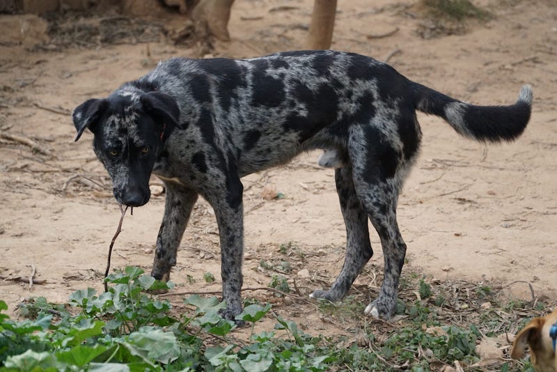 WhatsApp Image 2021-03-01 at 20.59.04 (3).jpeg