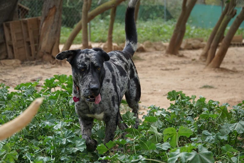 WhatsApp Image 2021-03-01 at 20.59.04.jpeg