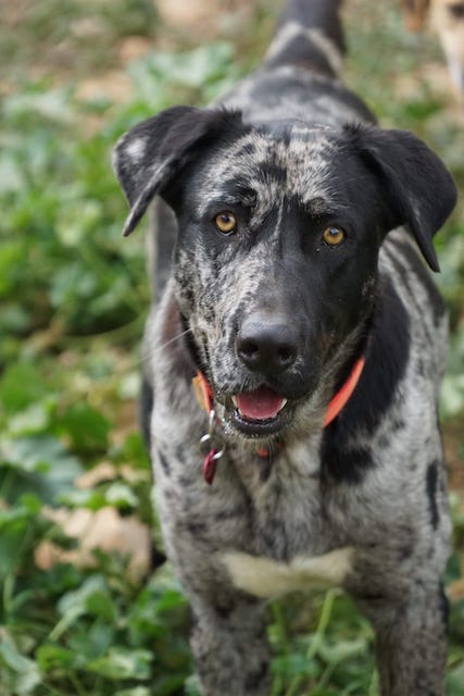 WhatsApp Image 2021-03-01 at 20.59.05 (4).jpeg