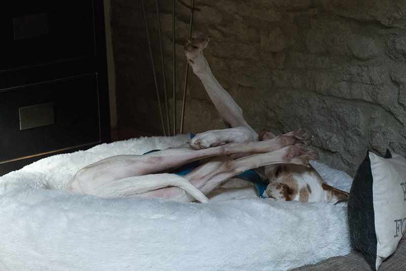 Flockenyoga_2.jpg