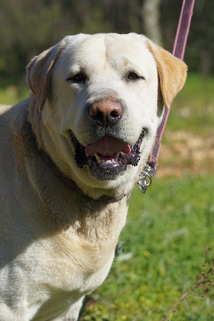 WhatsApp Image 2021-03-15 at 23.09.09.jpeg