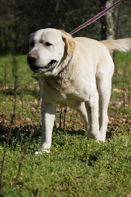 WhatsApp Image 2021-03-15 at 23.09.10 (1).jpeg