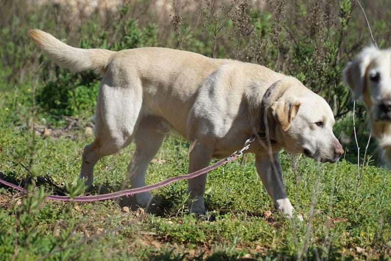 WhatsApp Image 2021-03-15 at 23.09.10 (2).jpeg