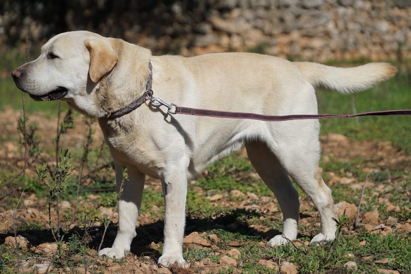 WhatsApp Image 2021-03-15 at 23.09.10 (3).jpeg