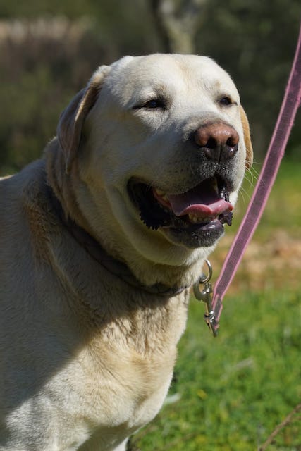 WhatsApp Image 2021-03-15 at 23.09.10 (4).jpeg