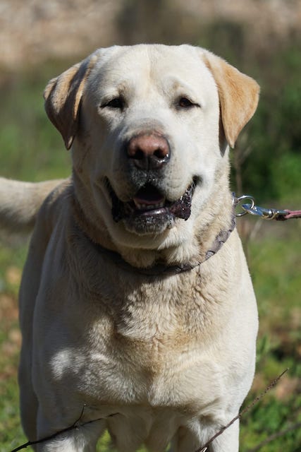 WhatsApp Image 2021-03-15 at 23.09.10 (6).jpeg