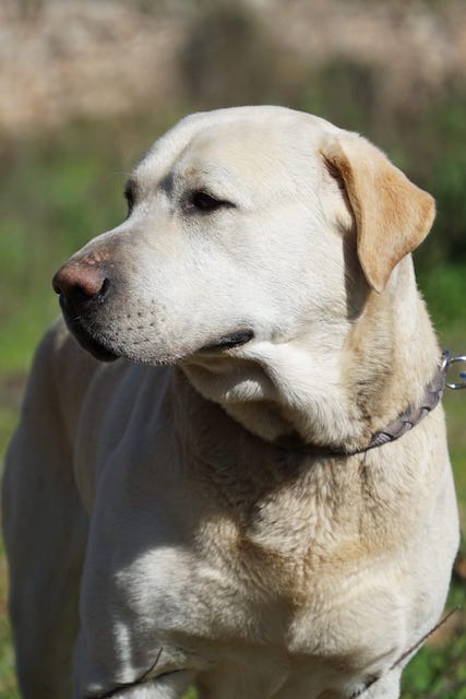 WhatsApp Image 2021-03-15 at 23.09.10 (7).jpeg