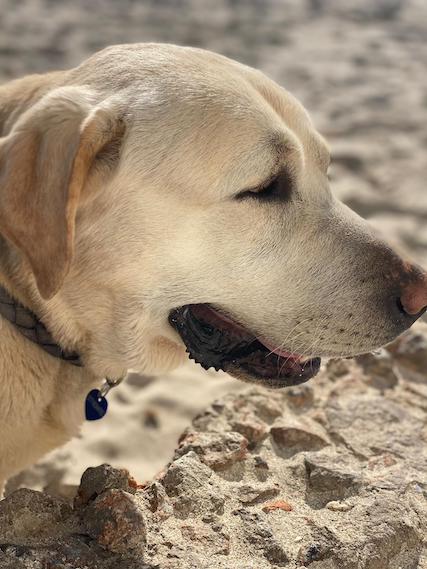 WhatsApp Image 2021-03-15 at 22.56.47 (1).jpeg