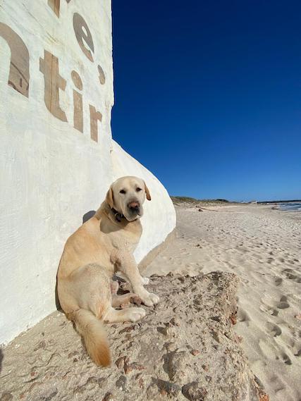 WhatsApp Image 2021-03-15 at 22.57.00 (1).jpeg