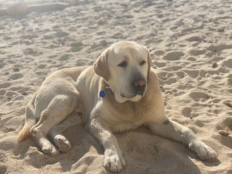 WhatsApp Image 2021-03-15 at 22.57.00.jpeg