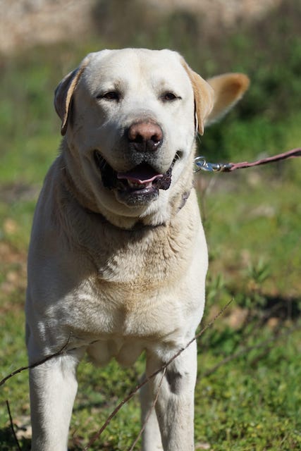 WhatsApp Image 2021-03-15 at 23.09.11.jpeg