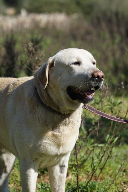 WhatsApp Image 2021-03-15 at 23.09.12.jpeg