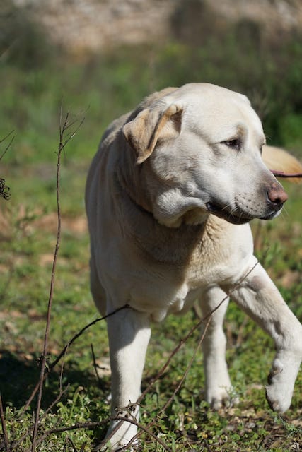 WhatsApp Image 2021-03-15 at 23.09.12 (1).jpeg