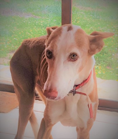 WhatsApp Image 2021-03-22 at 10.34.35 (6).jpeg