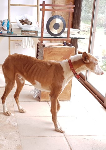 WhatsApp Image 2021-03-22 at 10.34.24 (1).jpeg