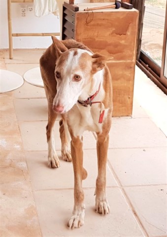 WhatsApp Image 2021-03-22 at 10.34.24.jpeg