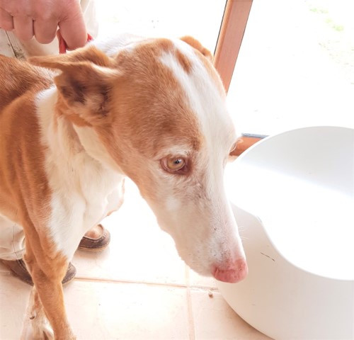 WhatsApp Image 2021-03-22 at 10.34.35 (1).jpeg