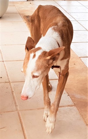 WhatsApp Image 2021-03-22 at 10.34.35 (3).jpeg