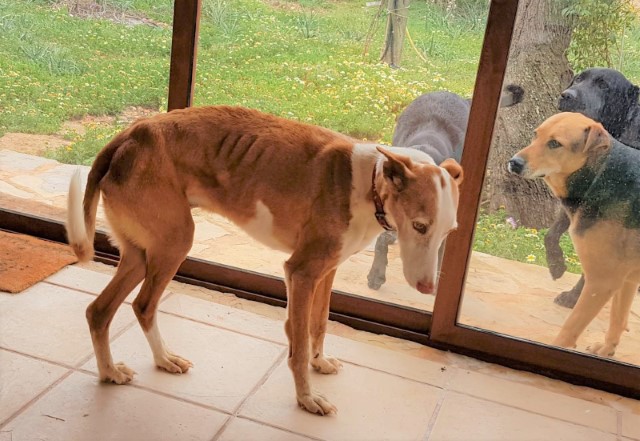 WhatsApp Image 2021-03-22 at 10.34.35 (4).jpeg