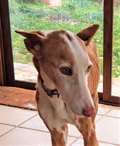 WhatsApp Image 2021-03-22 at 10.34.35 (5).jpeg