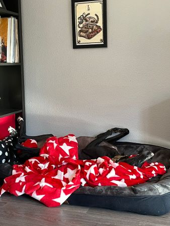 f48407ce-5bec-47a4-a7f4-37df4b3fce55.jpg