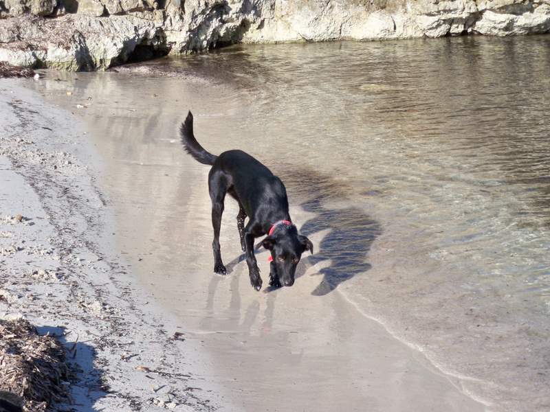 wasser find ich gut.jpg