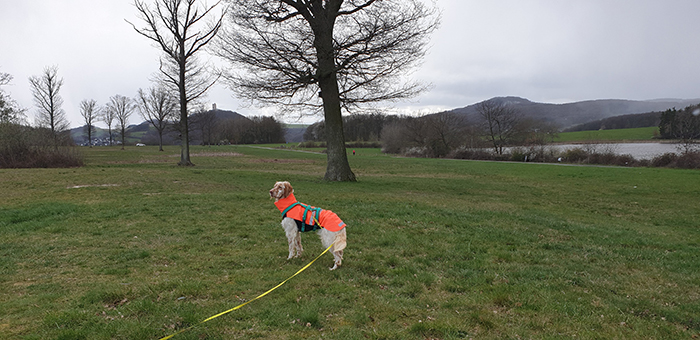 Merlo_HaM060421_12.jpg