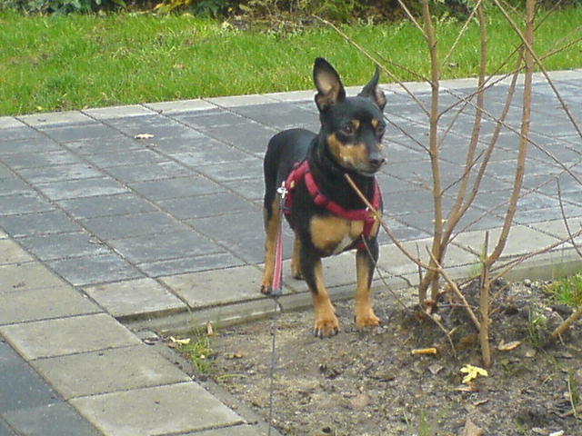 DSC03444.JPG