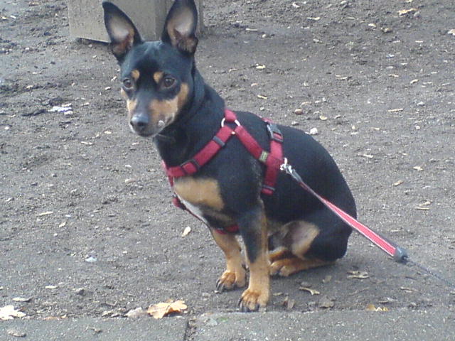 DSC03442.JPG